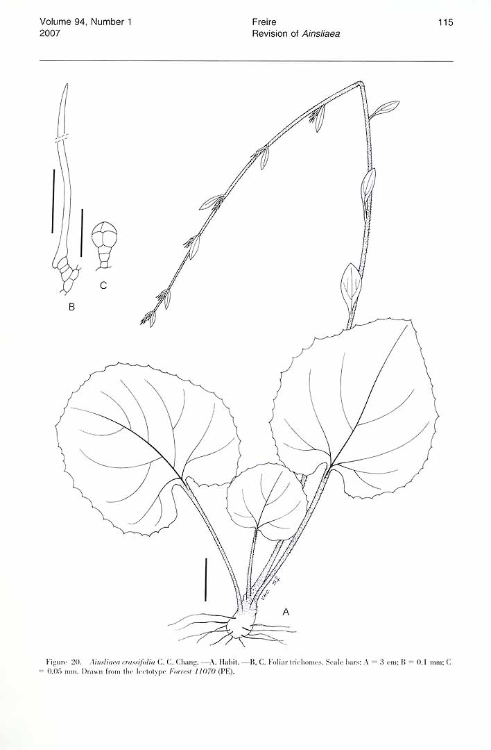 no HD illustration available (m5)