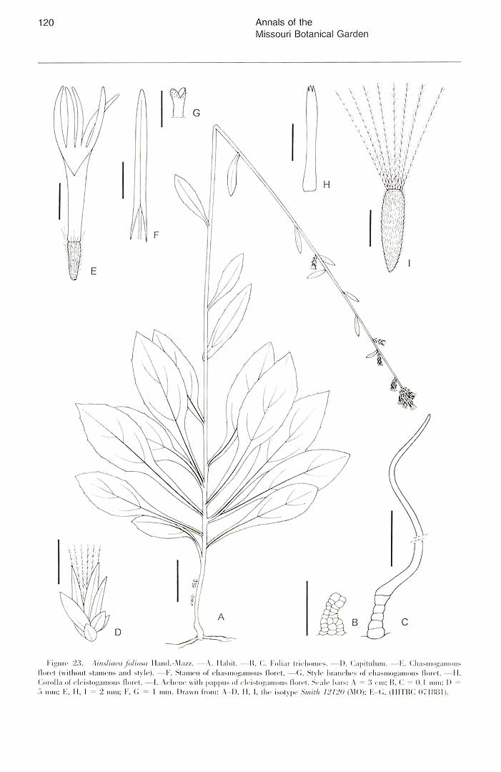 no HD illustration available (m5)