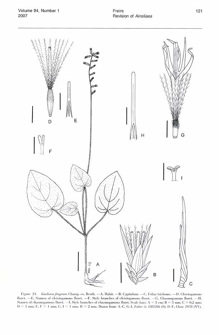 no HD illustration available (m5)
