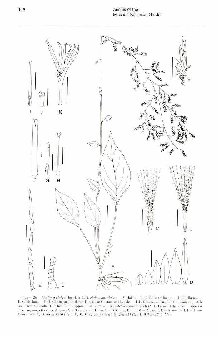 no HD illustration available (m5)