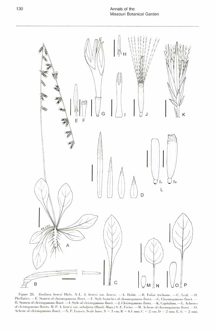 no HD illustration available (m5)