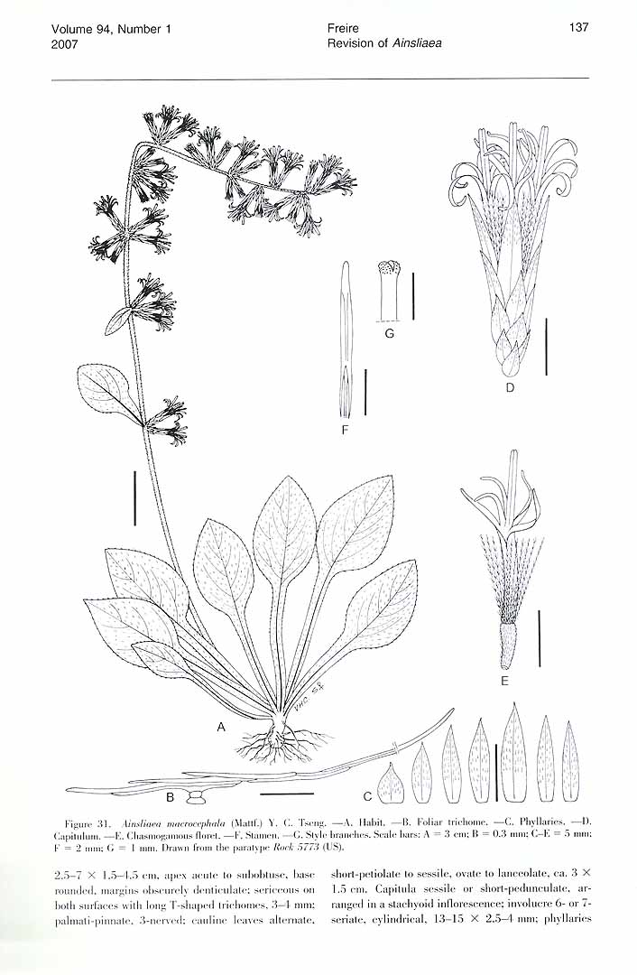 no HD illustration available (m5)