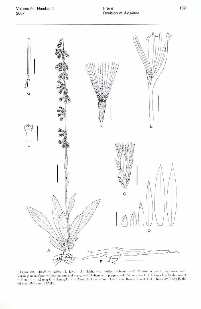 no HD illustration available (m5)