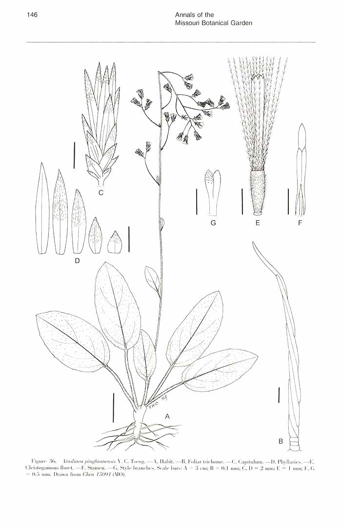no HD illustration available (m5)
