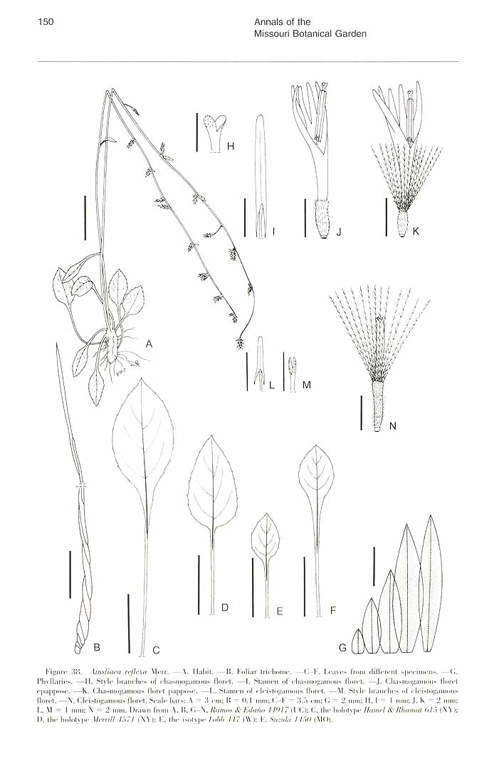 no HD illustration available (m5)