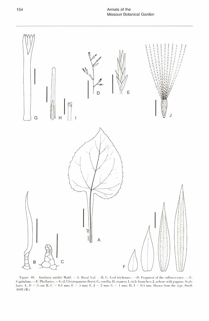 no HD illustration available (m5)