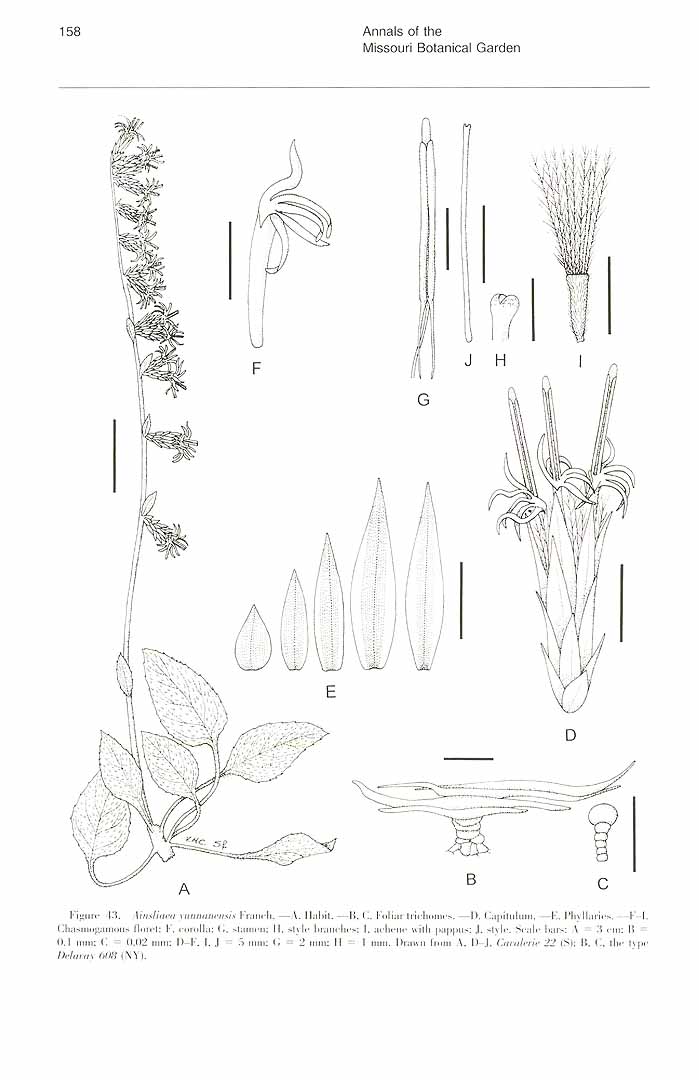 no HD illustration available (m5)