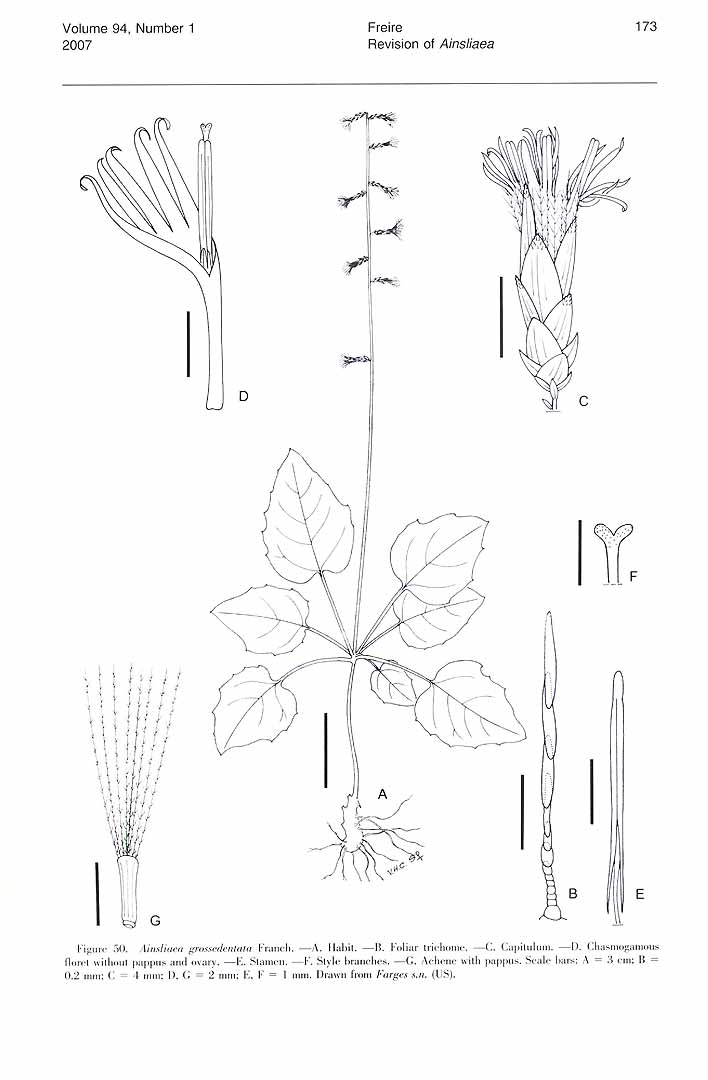 no HD illustration available (m5)