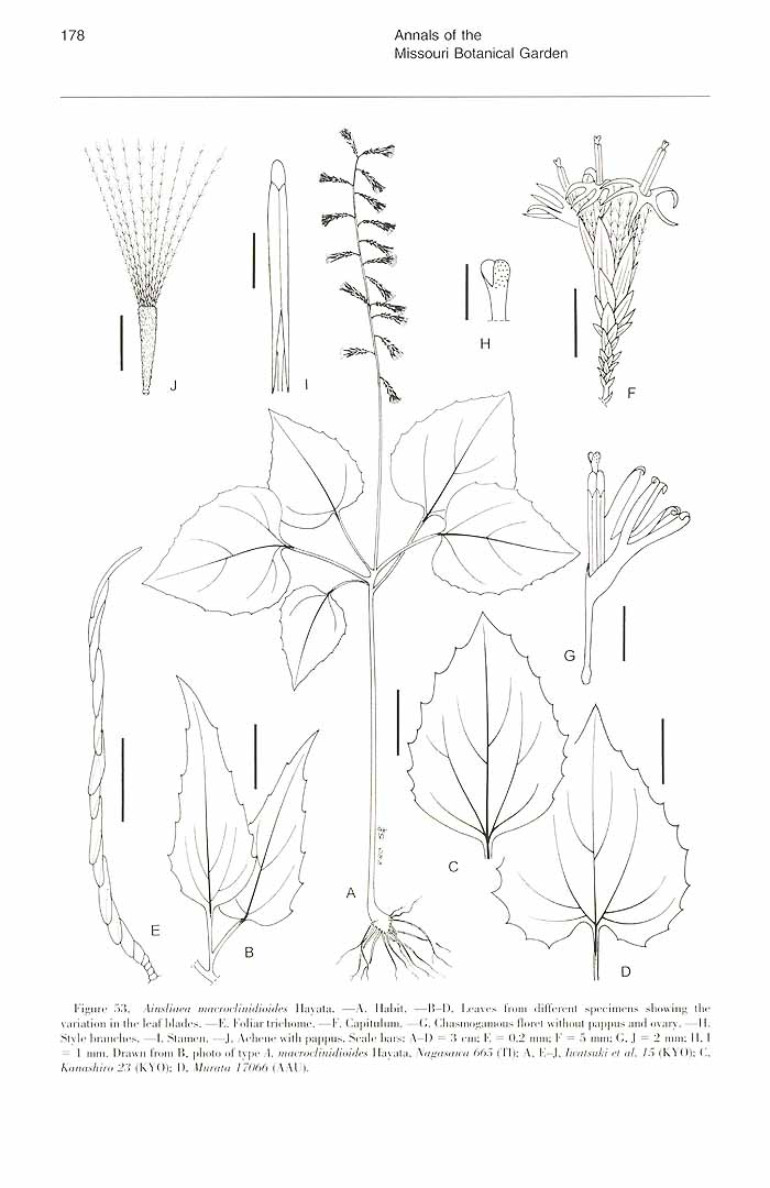 no HD illustration available (m5)