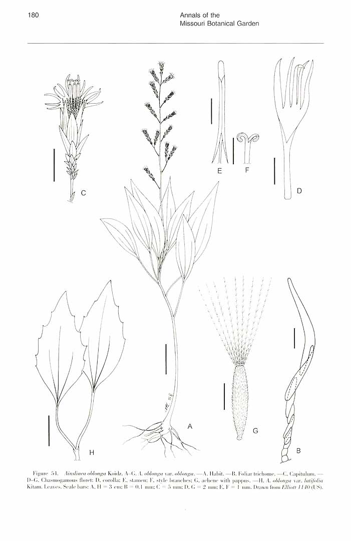 no HD illustration available (m5)