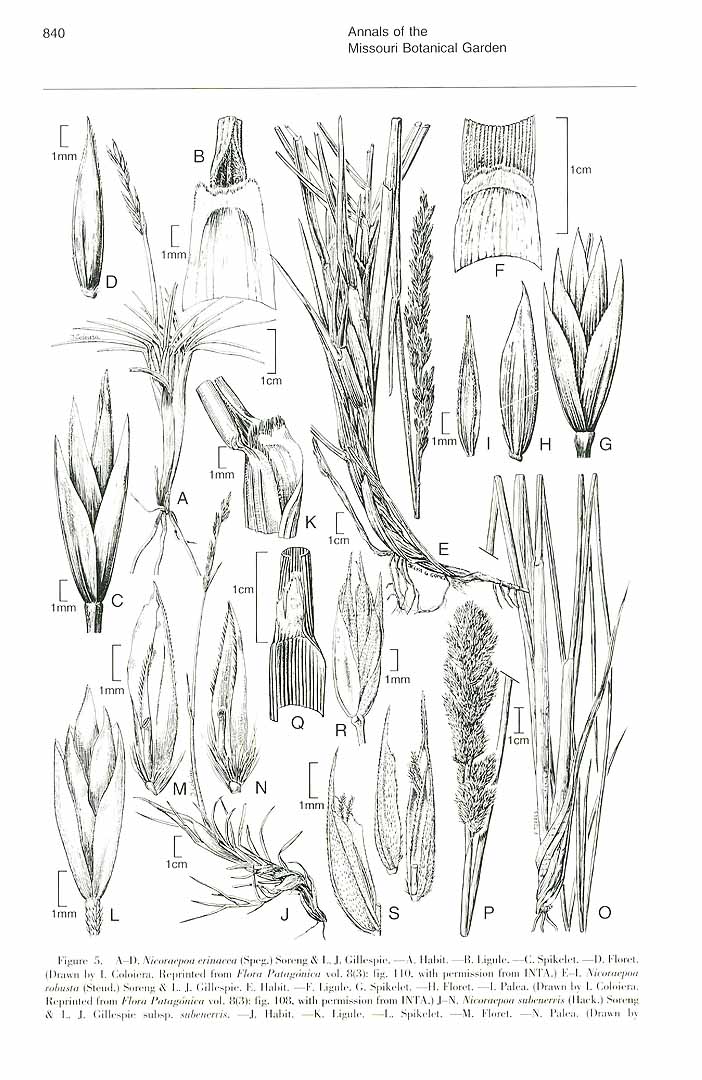 no HD illustration available (m5)