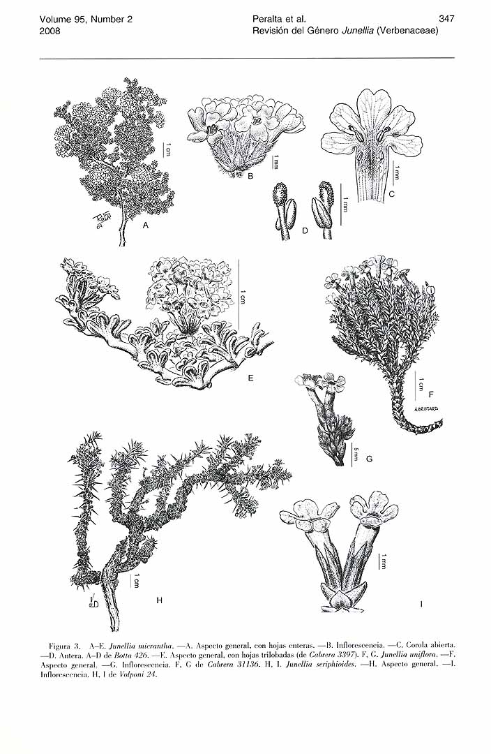 no HD illustration available (m5)