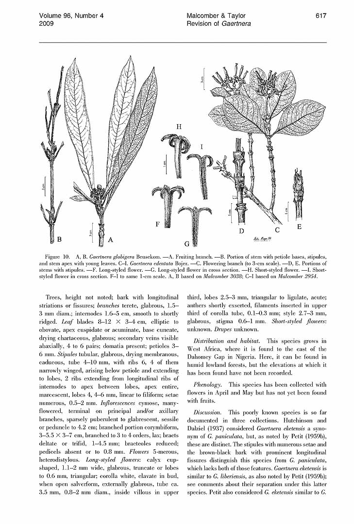 no HD illustration available (m5)