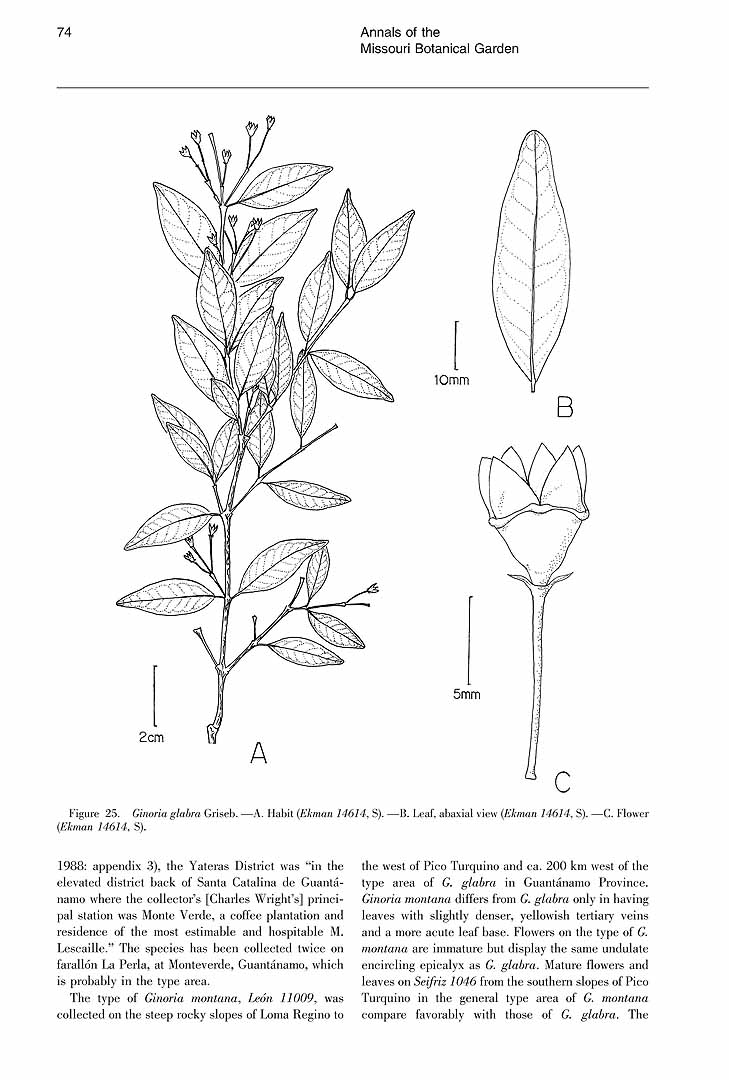 no HD illustration available (m5)