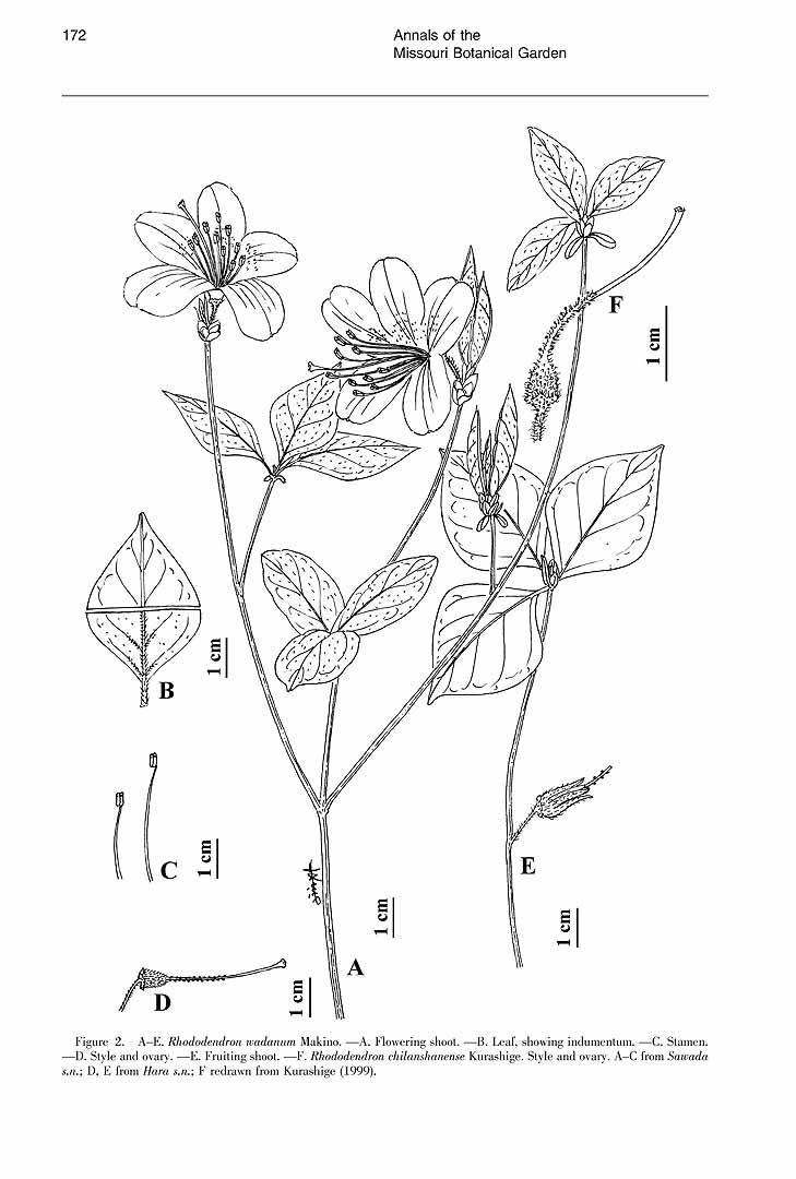 no HD illustration available (m5)