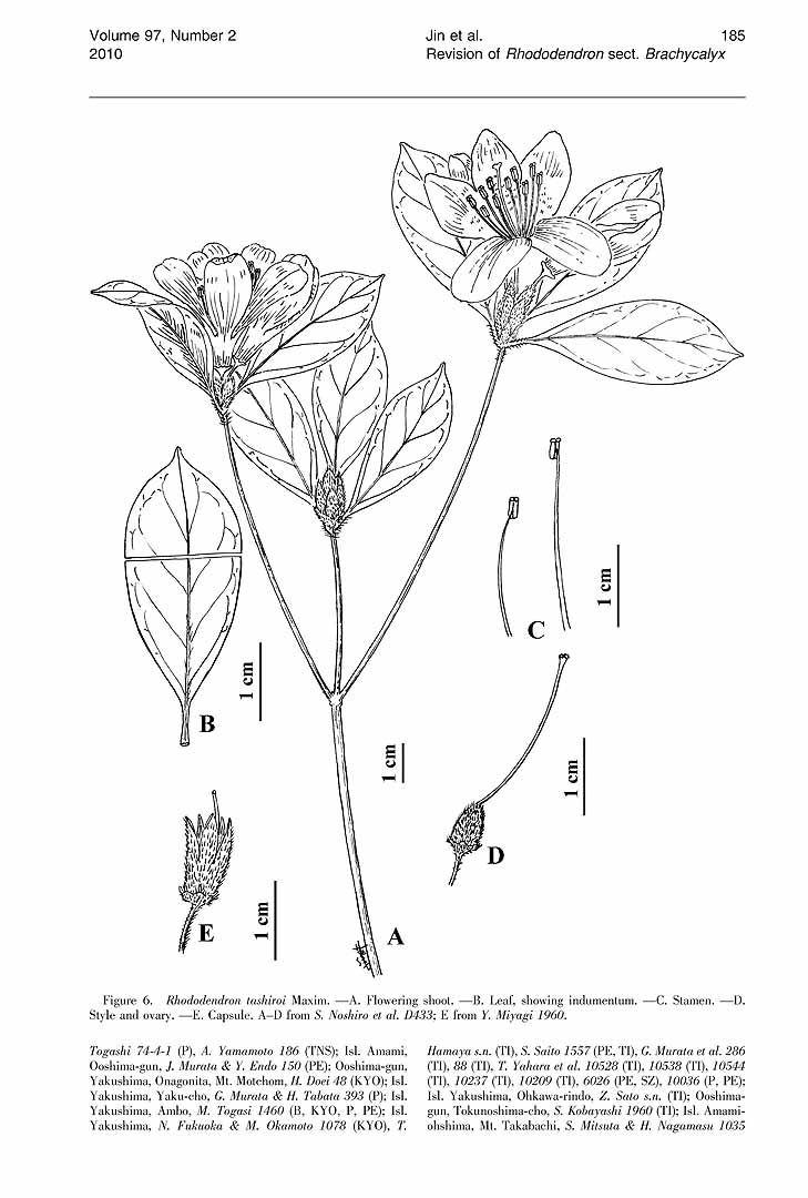 no HD illustration available (m5)