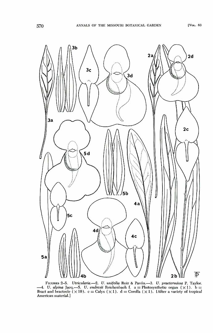 no HD illustration available (m5)