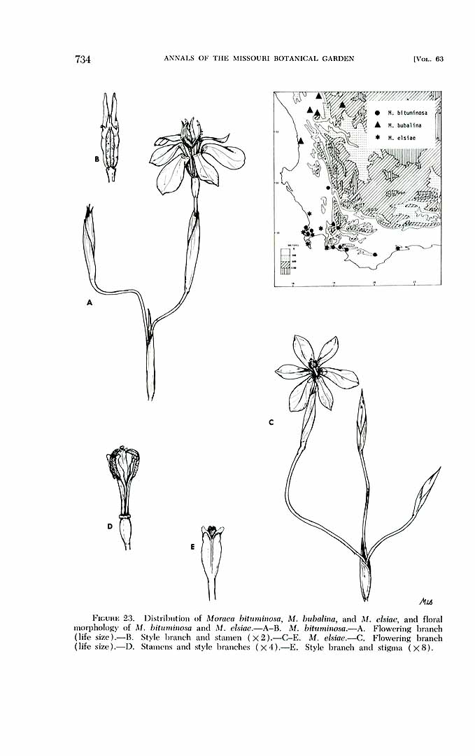 no HD illustration available (m5)