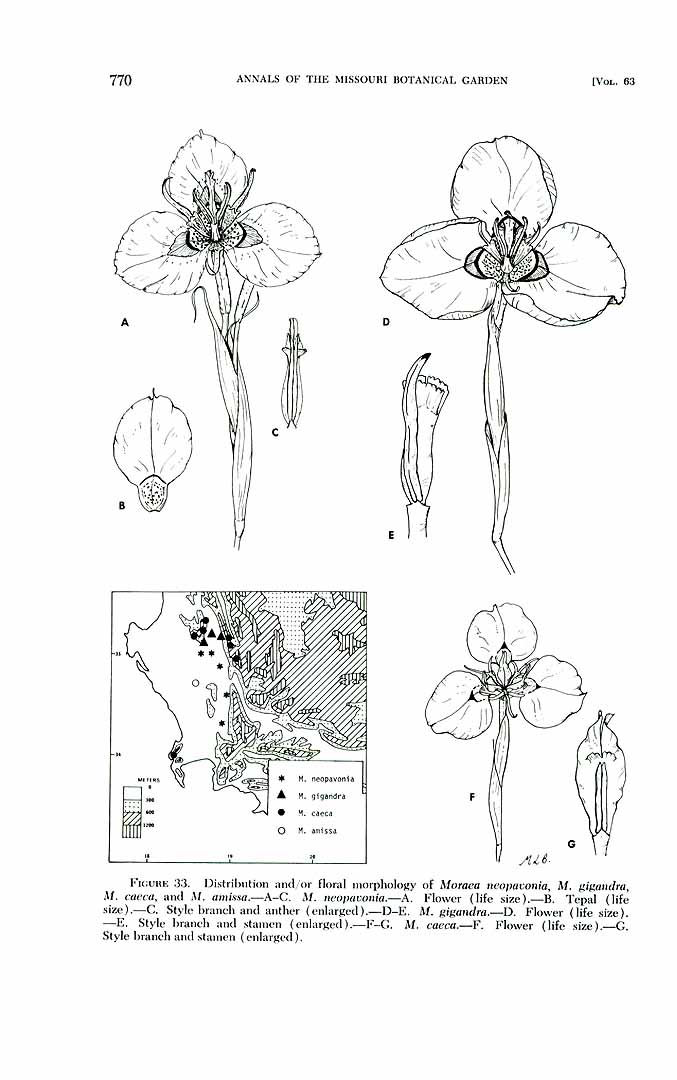 no HD illustration available (m5)