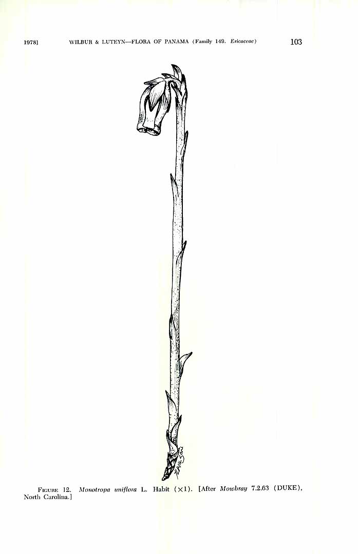 no HD illustration available (m5)
