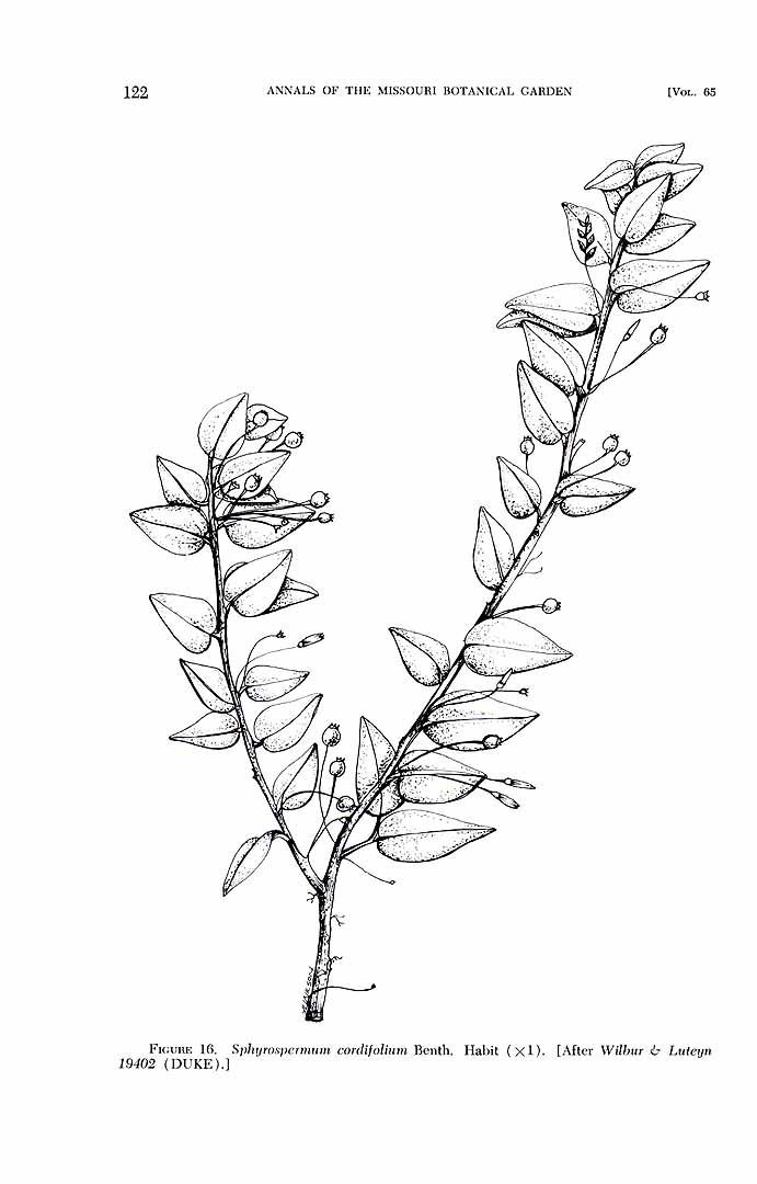 no HD illustration available (m5)