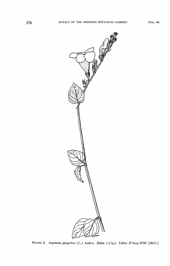 no HD illustration available (m5)