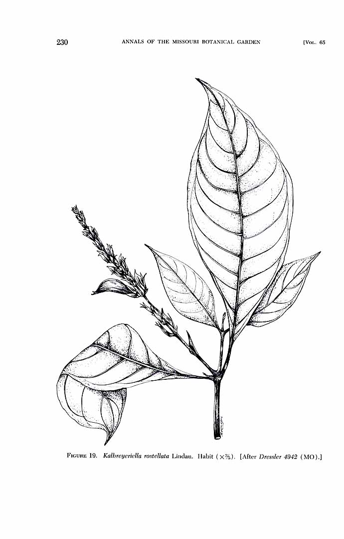 no HD illustration available (m5)