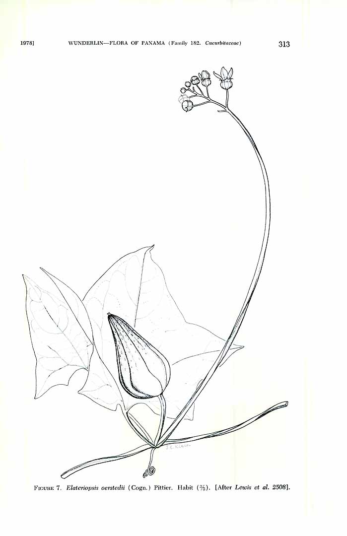 no HD illustration available (m5)