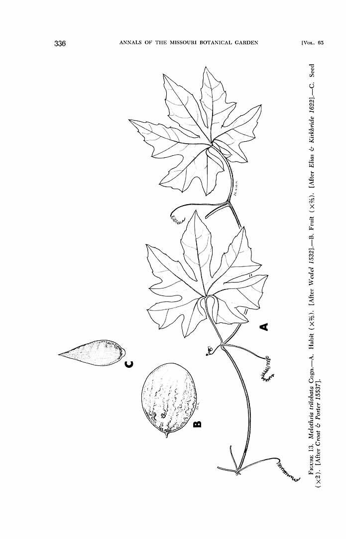 no HD illustration available (m5)