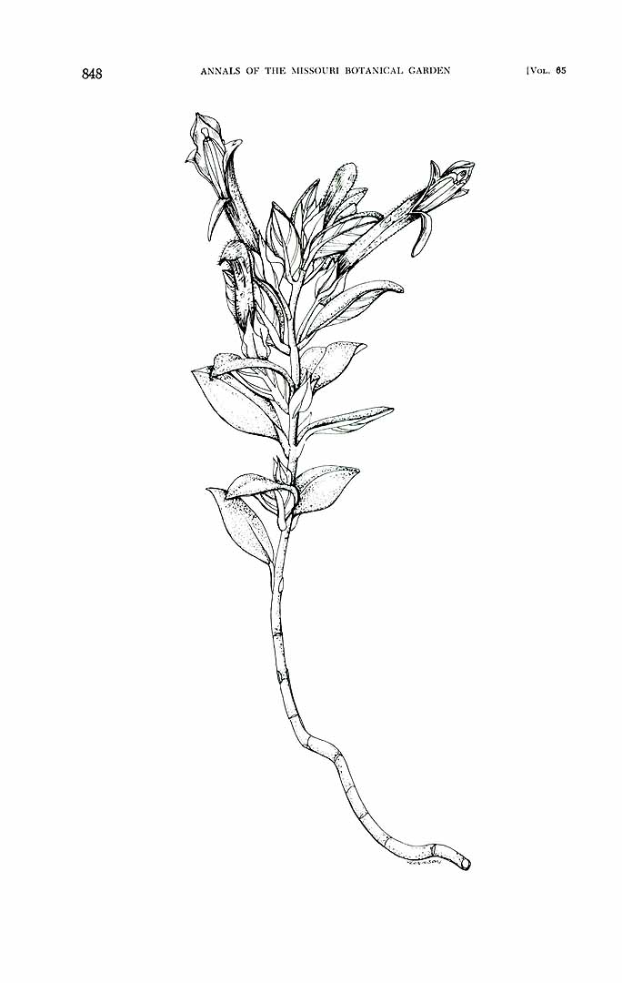 no HD illustration available (m5)