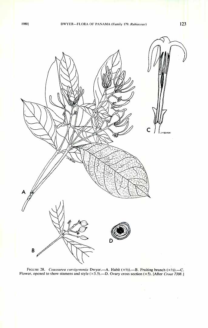 no HD illustration available (m5)