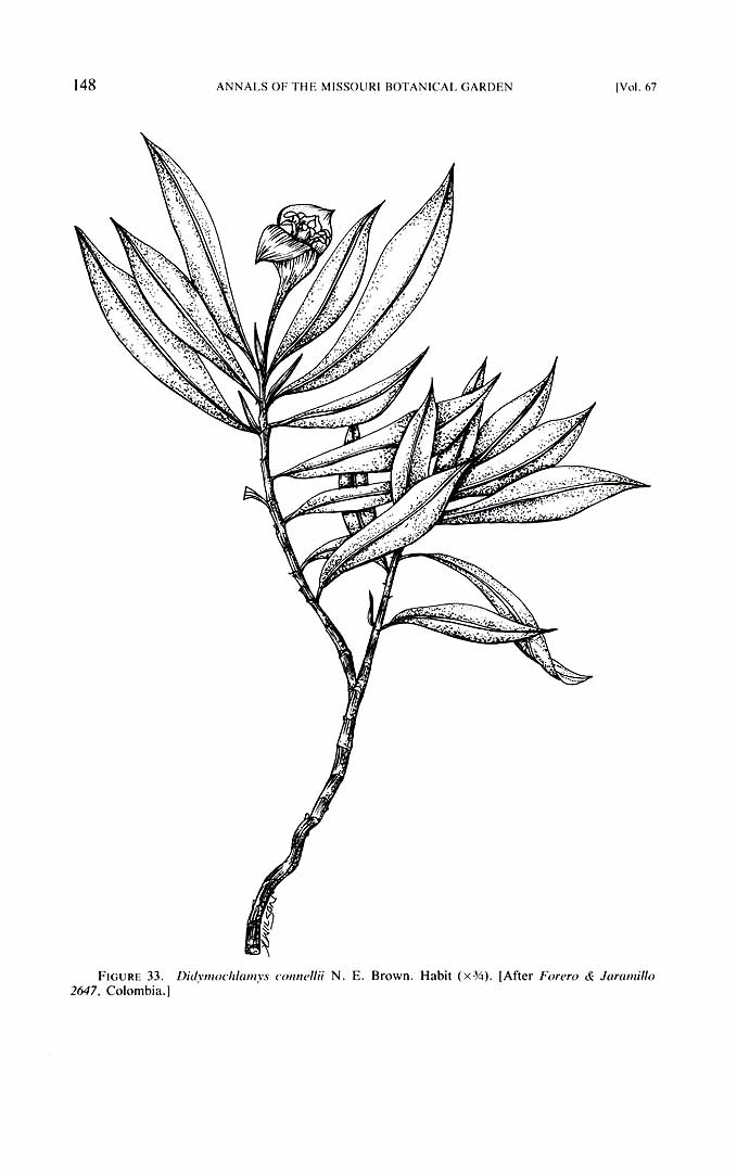 no HD illustration available (m5)