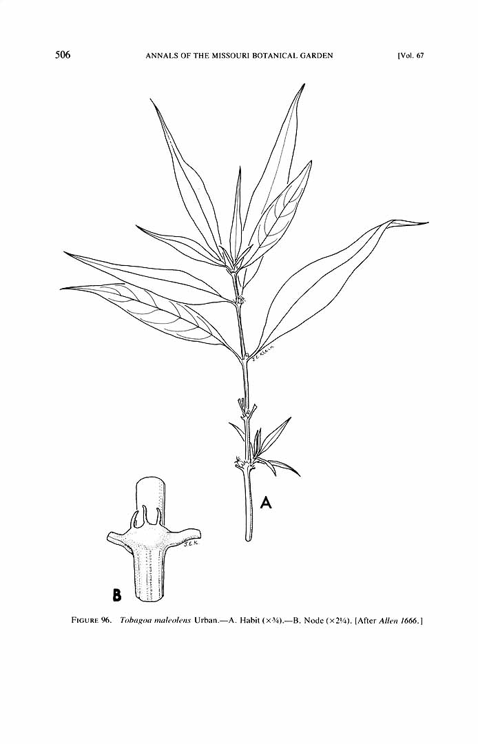 no HD illustration available (m5)