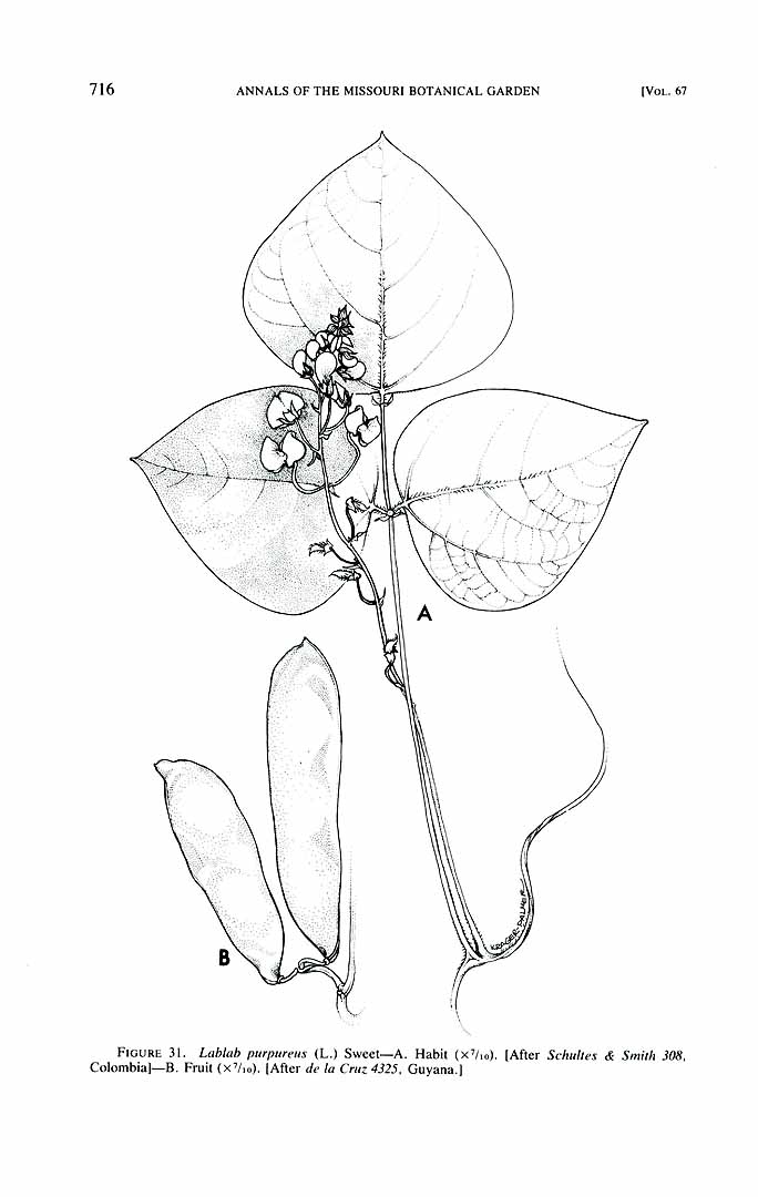 no HD illustration available (m5)
