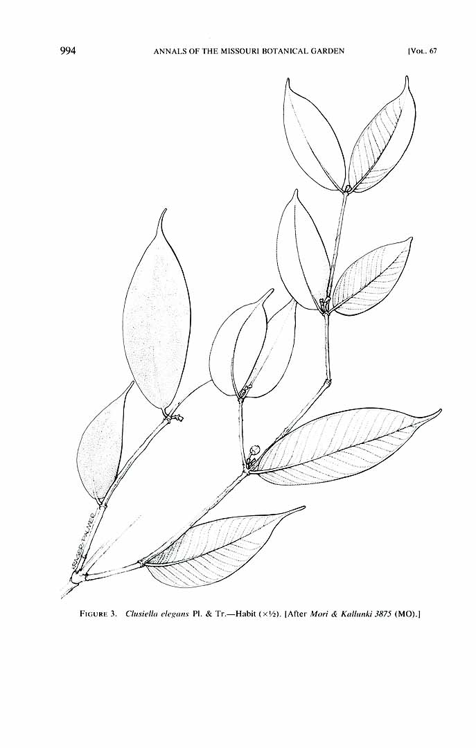 no HD illustration available (m5)