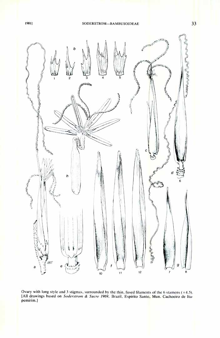 no HD illustration available (m5)