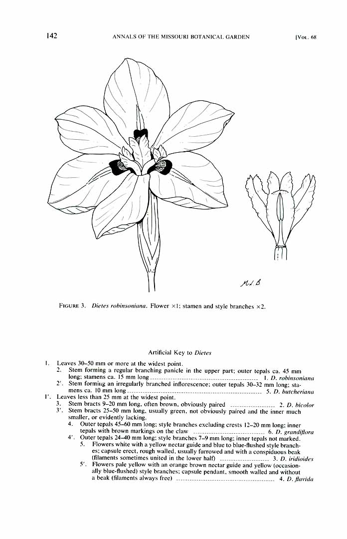no HD illustration available (m1)