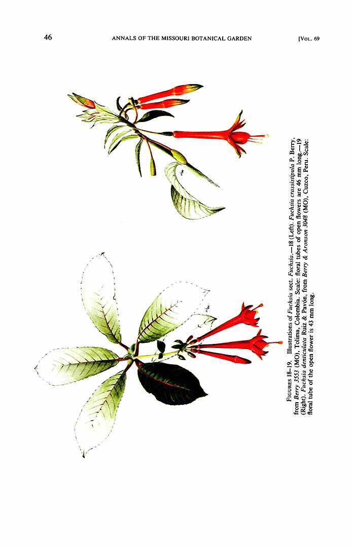 no HD illustration available (m5)