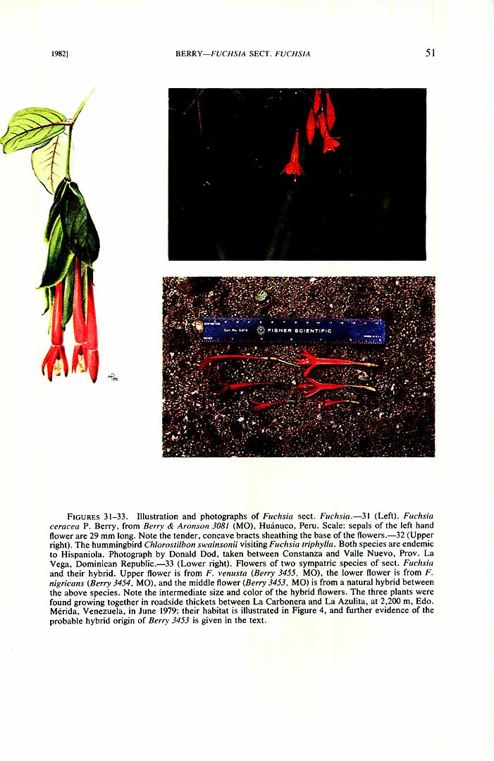 no HD illustration available (m5)
