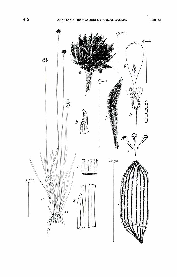 no HD illustration available (m5)