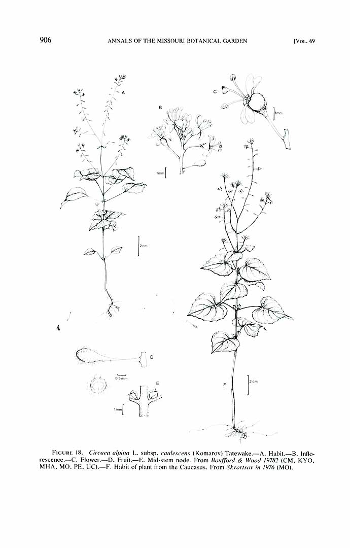 no HD illustration available (m5)