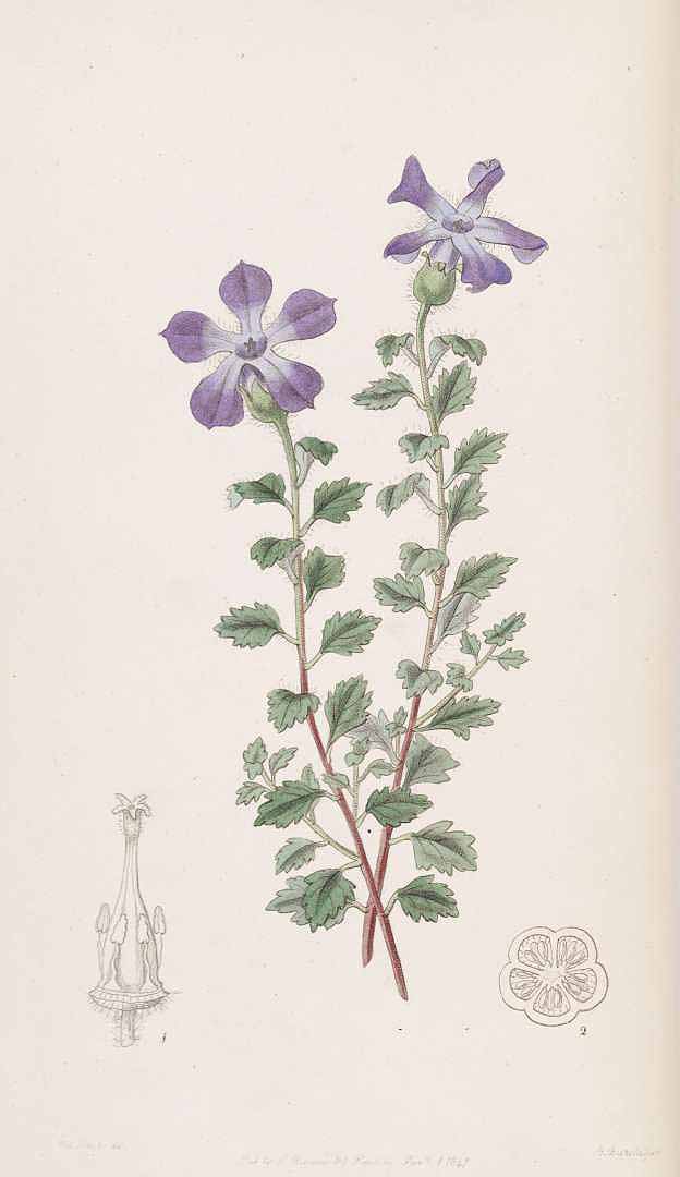 no HD illustration available (m5)