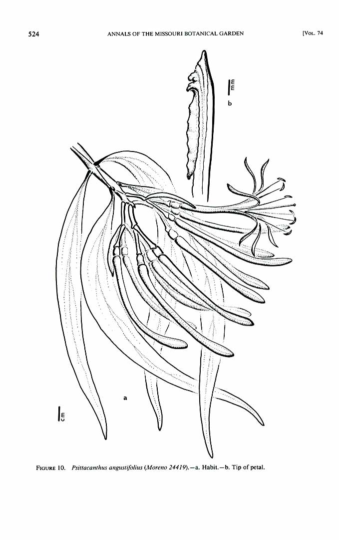no HD illustration available (m5)