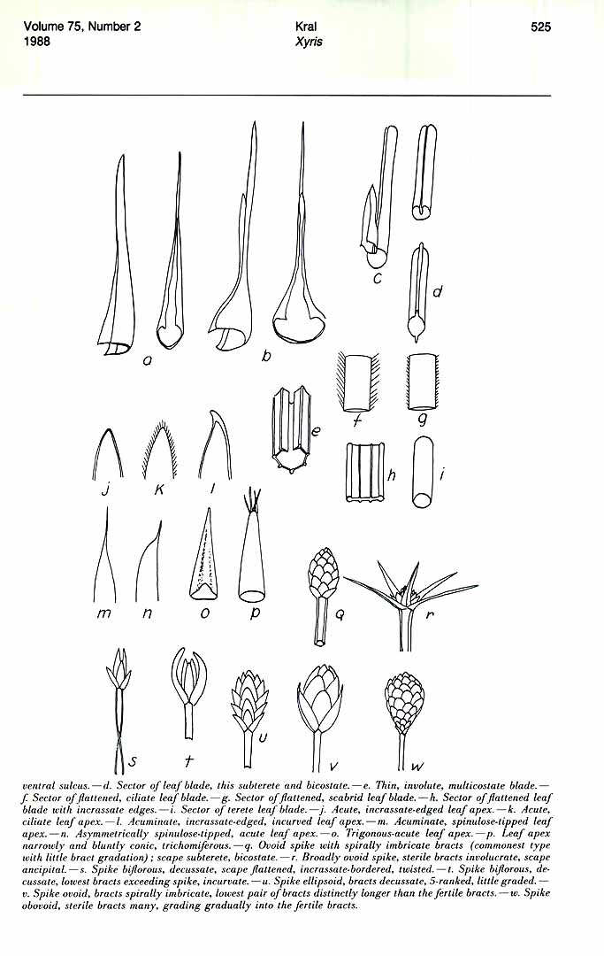 no HD illustration available (m5)