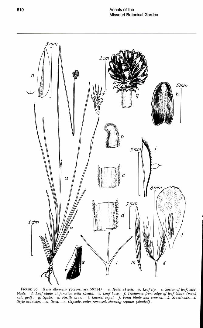 no HD illustration available (m5)