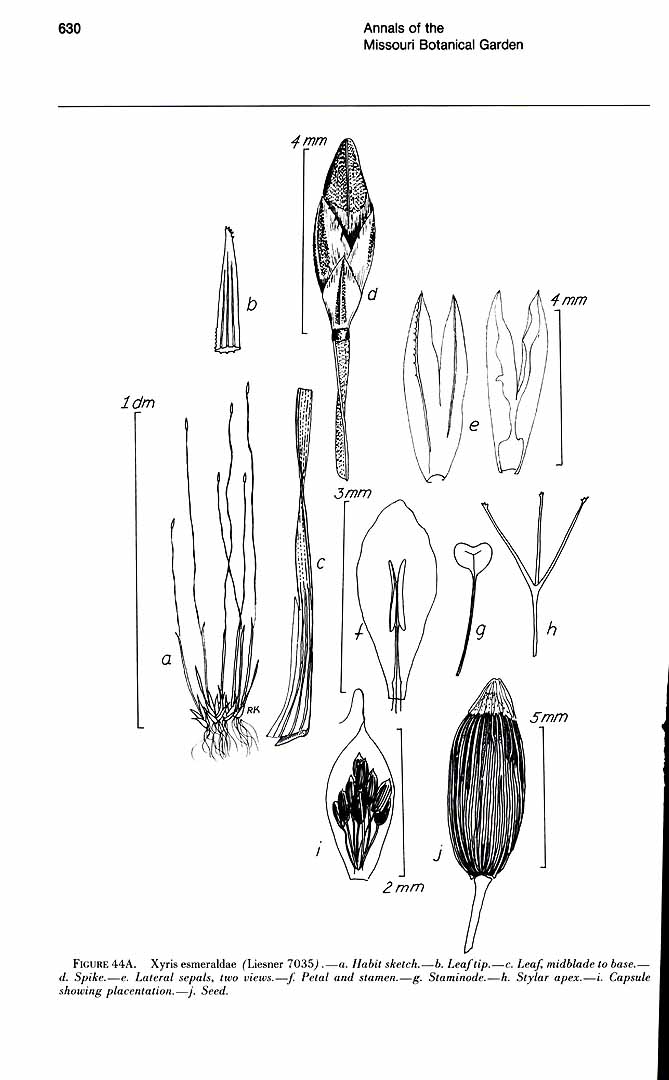no HD illustration available (m5)