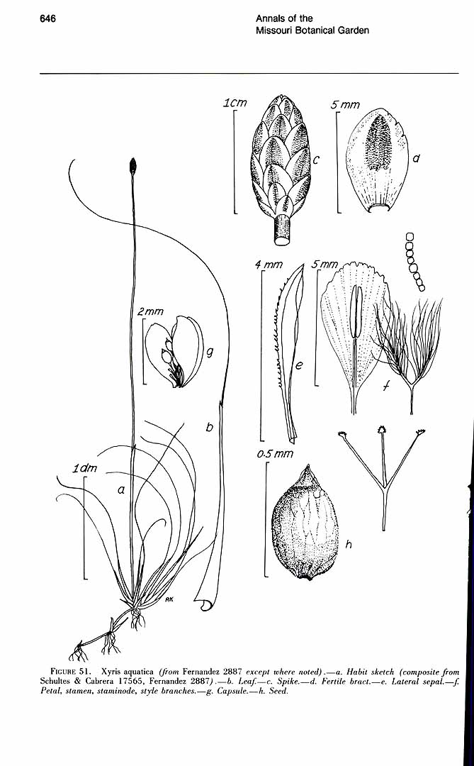 no HD illustration available (m5)