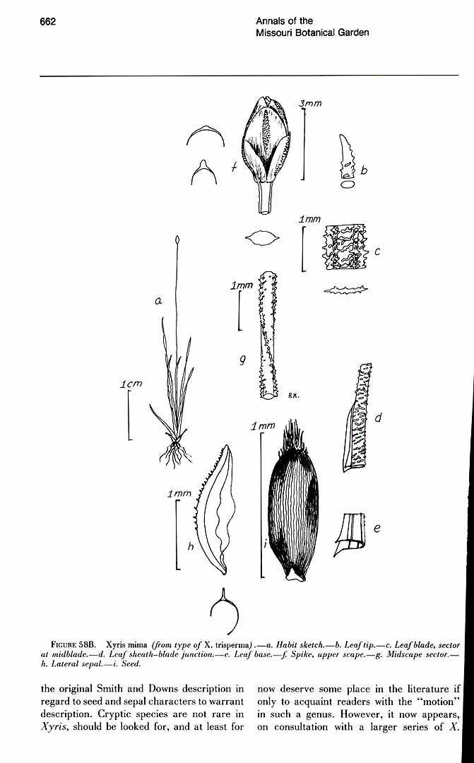 no HD illustration available (m5)