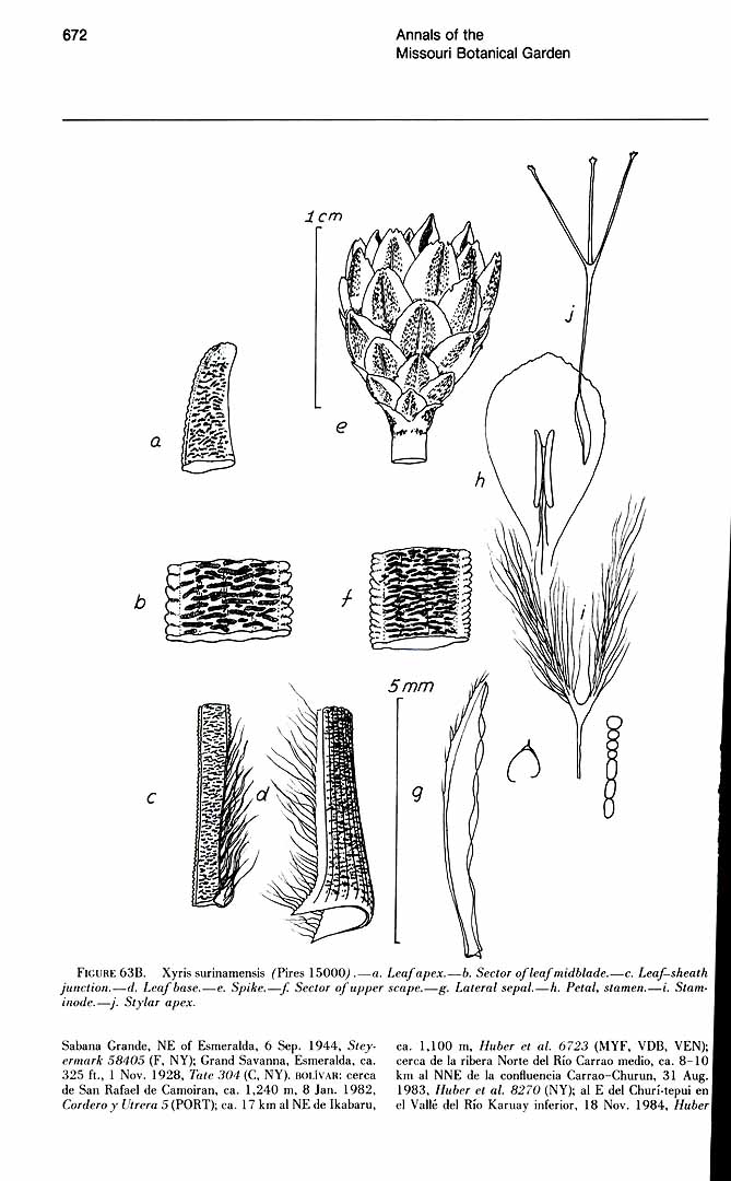 no HD illustration available (m5)