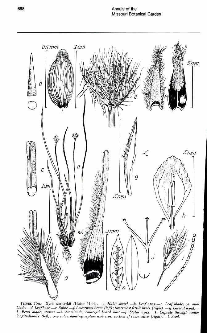 no HD illustration available (m5)